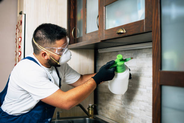 Best Pest Control for Businesses  in Mirrormont, WA