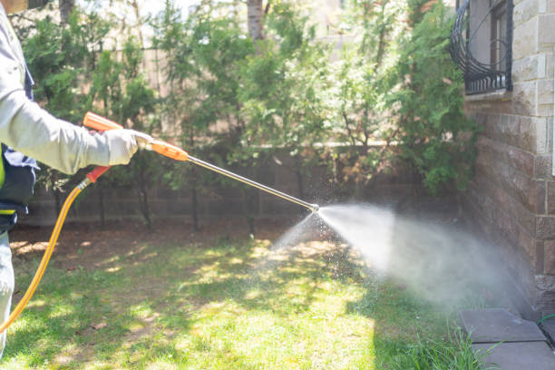 Best Bed Bug Extermination  in Mirrormont, WA
